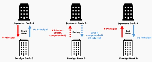 basis1